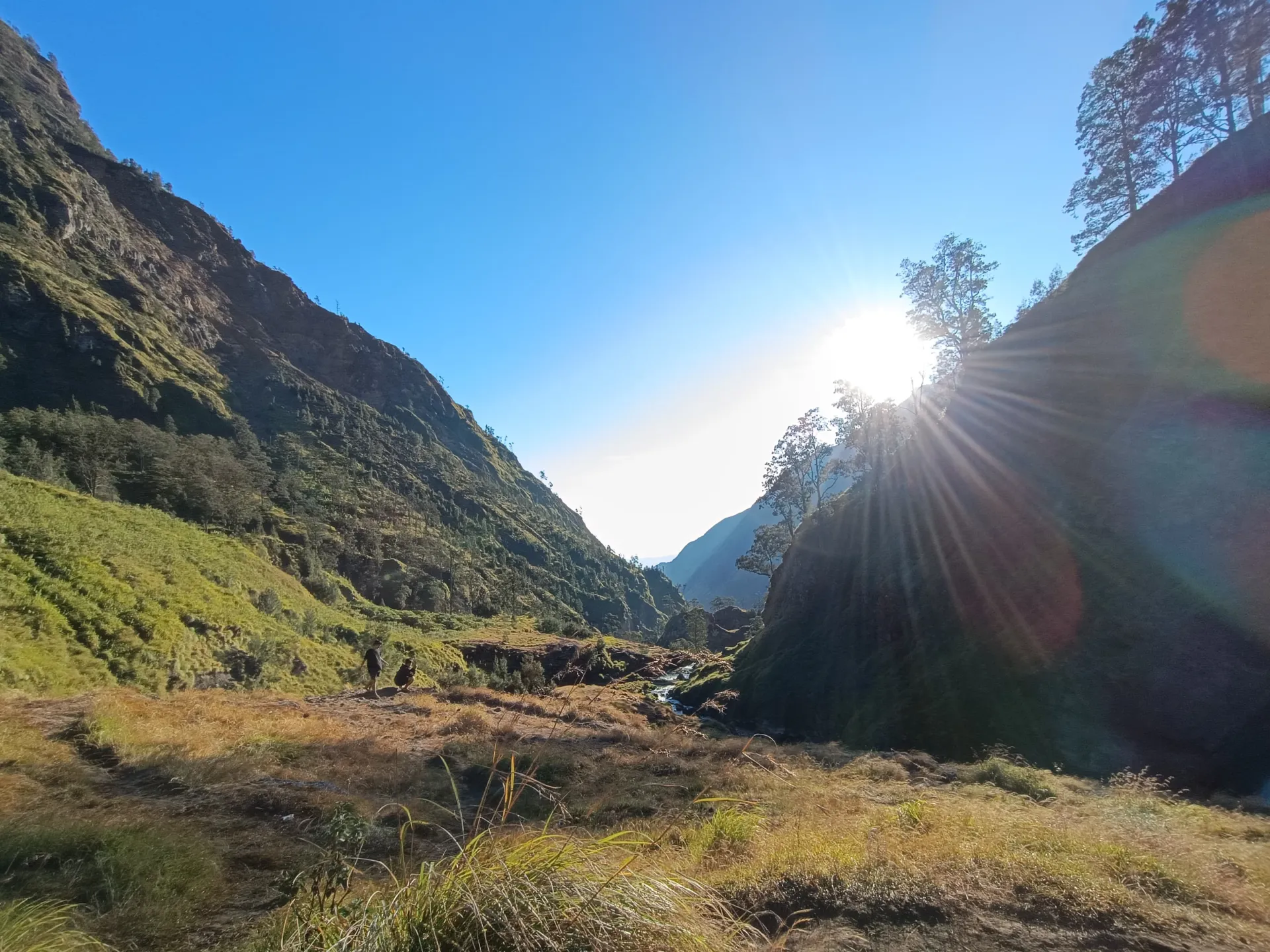 Track to Hot Spring Rinjani 